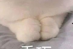 国产a斤,引领行业新潮流的匠心之作