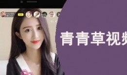 青青草国产视频在线,探寻国产影视的青春魅力