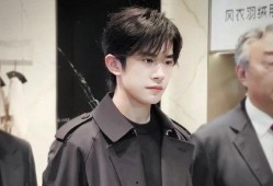 国产欧美日本免费一级视频,内容概览与行业洞察