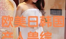 欧美日韩国产免费观看,欧美日韩佳作免费畅享