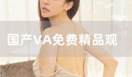 国产va在线视频